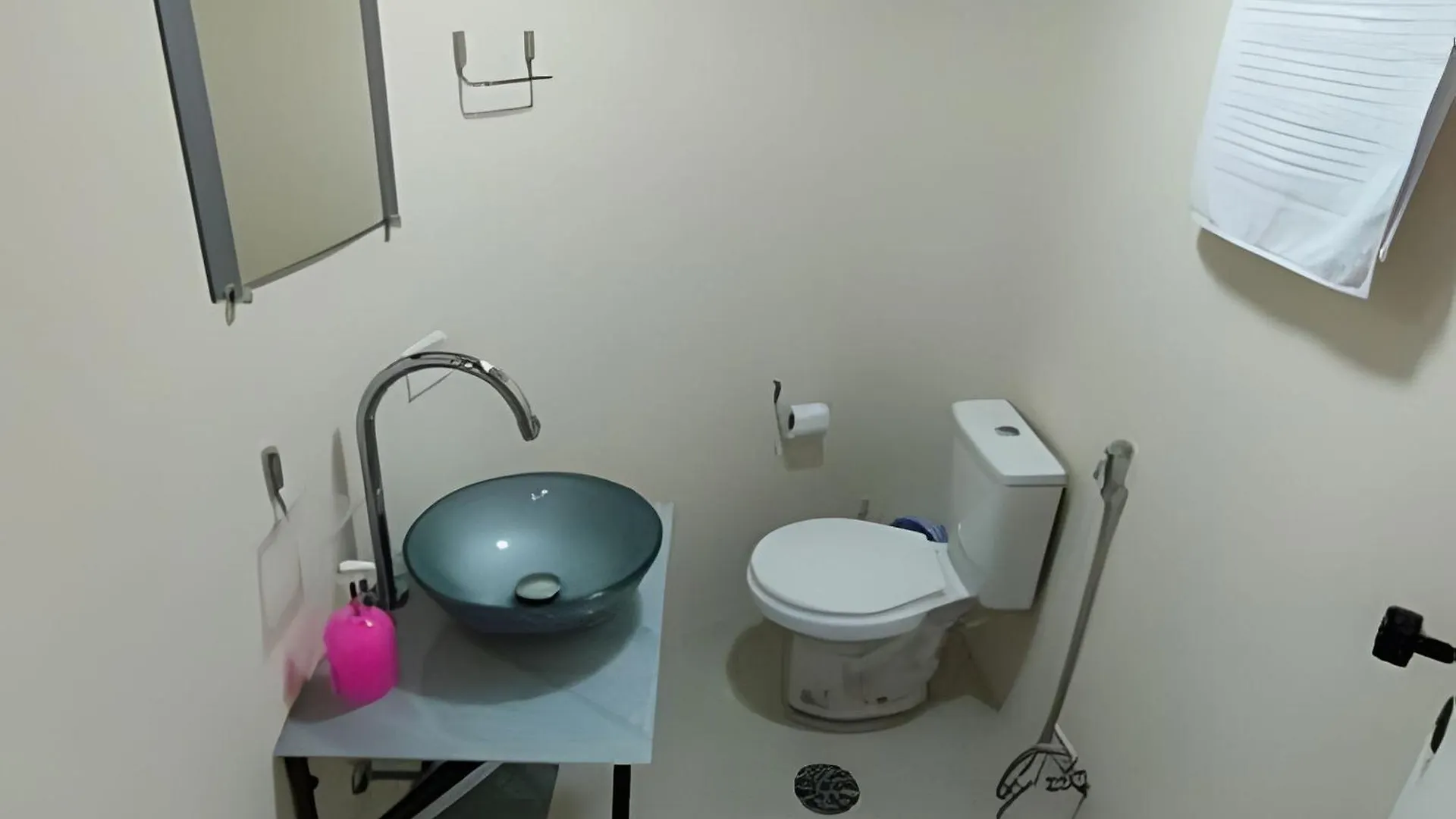 Flat Lindo Garagem Hakka Feirinha E Hospitais Apartamento São Paulo