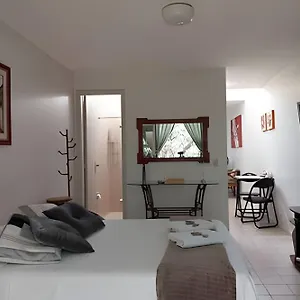 Descanse Na Rede Da Varanda Sob As árvores. Brasília